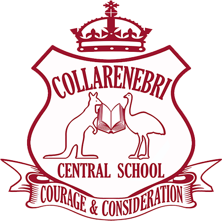 Collarenebri Central School
